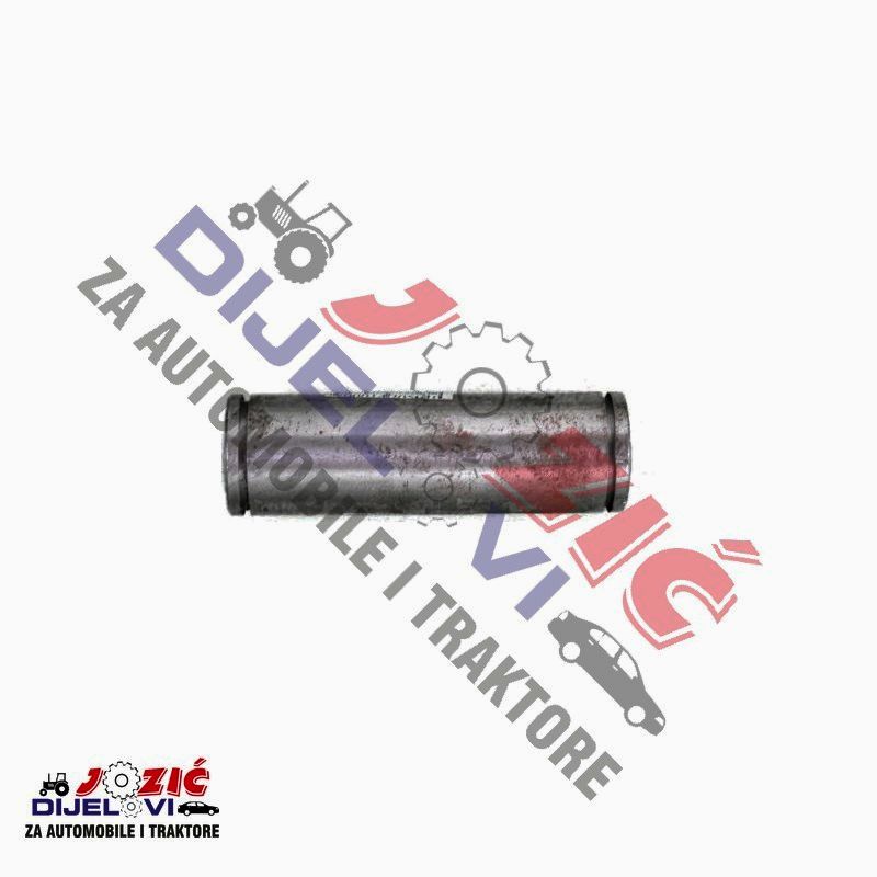 Daisy on the Ohoopee